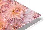 Floral Blush HD Metal print