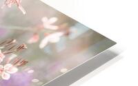Soft and delicate HD Metal print