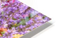 Summer Blooms HD Metal print