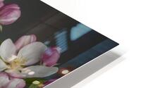 Apple Blossom HD Metal print