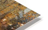 Forest Lock HD Metal print