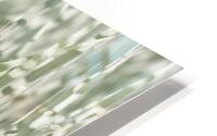 Whispering Grassland HD Metal print