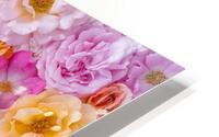 Blooming Beauties HD Metal print