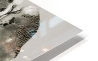 Birds HD Metal print