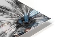Palm Trees HD Metal print