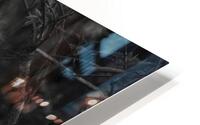 Lion HD Metal print
