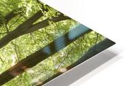 Spring Path HD Metal print