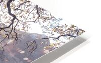 Bench at still lake HD Metal print