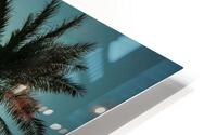 Palm Tree HD Metal print