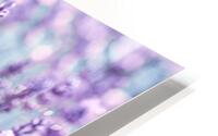Lavender HD Metal print
