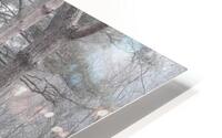 Road Through Trees HD Metal print