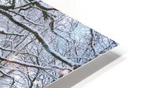 Snowy Forest Canal HD Metal print