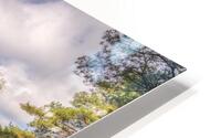 Forest Reflections HD Metal print