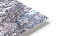 Snowy Canal HD Metal print
