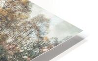 Forest Trees and Foliage HD Metal print