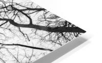 Tree Tops Impression metal HD