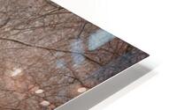 Road through forest HD Metal print