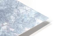 Misty Forest HD Metal print