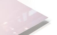 Cactus HD Metal print