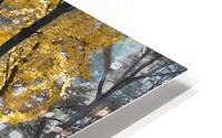 Park Pretty HD Metal print