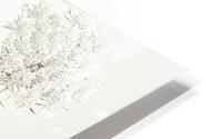 Cow Parsley HD Metal print