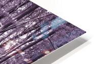 Fairytale Forest HD Metal print