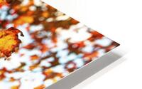 Autumn Leaves HD Metal print