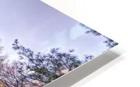 Snowy Central Park HD Metal print