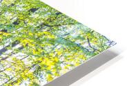 Mesmerizing Bluebell Forest HD Metal print