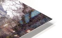 Canal-side Tranquility HD Metal print
