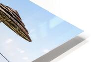 Beach Parasols HD Metal print