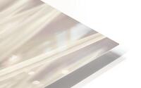 Whispering Blades HD Metal print