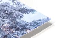 Snowy Forest Canal HD Metal print
