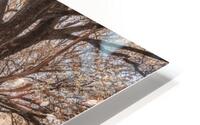 Derwentwater Lake HD Metal print