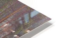 Fairyland Forest HD Metal print