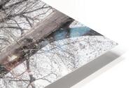 Whispering Woods HD Metal print