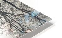 Misty Tree HD Metal print