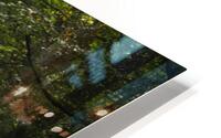 Pathway through misty forest HD Metal print