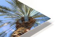 Keep Palm and carry on HD Metal print