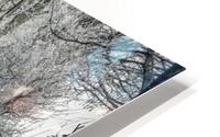 Frosted road through forest HD Metal print