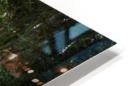 Journey through Forest HD Metal print