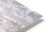 Morning Meadow HD Metal print