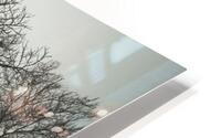 Misty Meadow HD Metal print