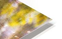 Wisteria Blooms HD Metal print