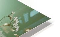 Meadow Flowers HD Metal print