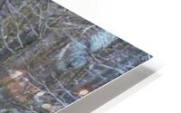 Snowbound Majesty HD Metal print
