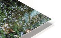 Woodland spring path HD Metal print