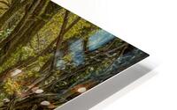 Journey through Forest HD Metal print