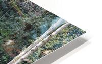 Autumnal Palette HD Metal print