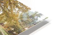 Four Seasons HD Metal print